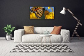 Obraz Canvas Motýľ kvet príroda 140x70 cm