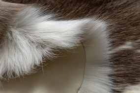 Koberec RENIFER POK003 PREMIUM hnedý / biely