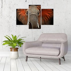 Obraz - Slony z Tsavo (90x60 cm)