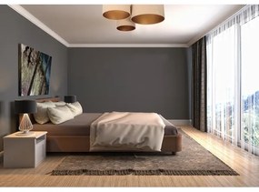 Stropné svietidlo SPACE 3xE27/60W/230V béžová/zlatá