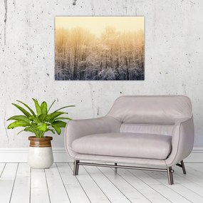 Sklenený obraz mrazivého lesa (70x50 cm)