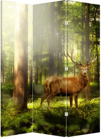 Paraván - Jelen v lese (126x170 cm)