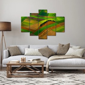 Obraz - Polia, lúky (150x105 cm)