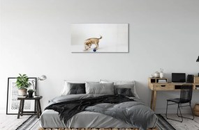 Sklenený obraz Hrať s tým psom 120x60 cm