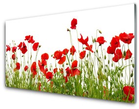 Skleneny obraz Lúka maky kvety príroda 100x50 cm