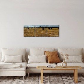 Obraz zozbieraného obilného poľa (s hodinami) (90x30 cm)