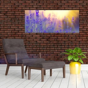 Obraz - Levanduľa (120x50 cm)