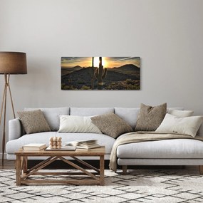 Obraz - kaktusy v slnku (120x50 cm)