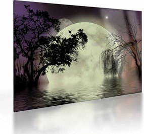 Sklenený obraz - Spln nad hladinou (70x50 cm)