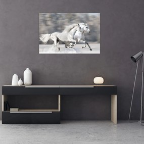 Obraz - Biele kone v zime (90x60 cm)