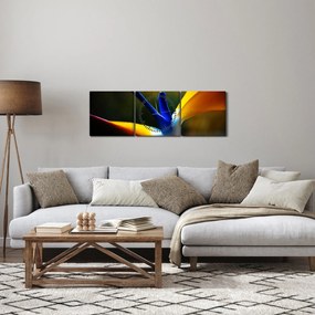 Obraz - Exotický kvet (s hodinami) (90x30 cm)