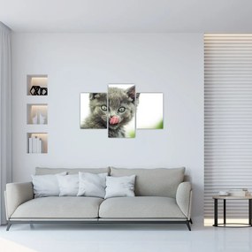 Obraz oblizujícího sa mačiatka (90x60 cm)