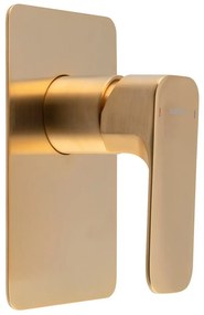 Podomietková sprchová batéria v zlatej farbe (1 výstup) Spy – Sapho