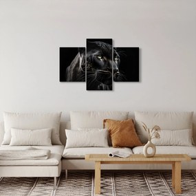 Obraz - Čierny panter (90x60 cm)