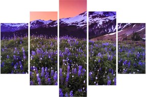 Obraz - Sopka a kvety (150x105 cm)