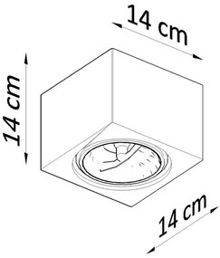 Stropné svietidlo SEIDA 1xGU10/40W/230V