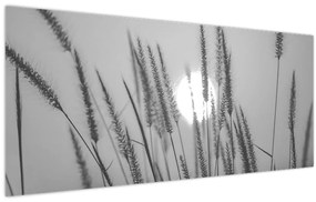 Obraz - Lúka pri západe slnka (120x50 cm)