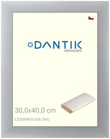 DANTIK rám na obraz 30x40 | LEDVINKA bílá (Plexi Čiré)