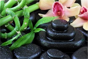Obraz - Kamene a orchidey (90x60 cm)