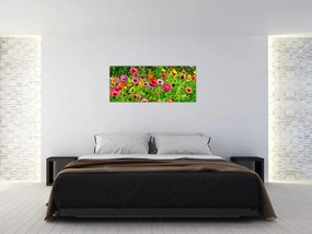 Obraz lúčnych kvetov (120x50 cm)