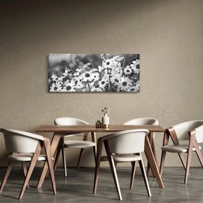 Obraz - Kopretiny (120x50 cm)