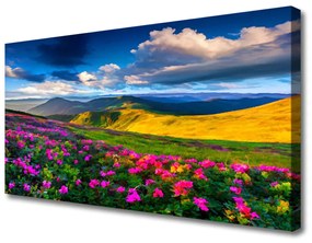 Obraz na plátne Lúka kvety príroda 120x60 cm