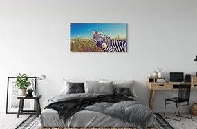 Obraz na plátne zebra kvety 120x60 cm