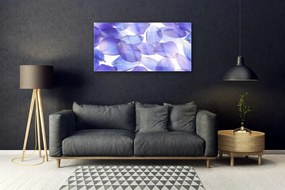 Skleneny obraz Plátky rastlina príroda 125x50 cm