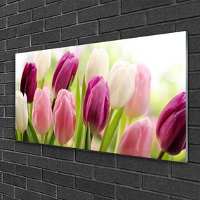 Skleneny obraz Tulipány kvety príroda lúka 140x70 cm