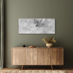 Obraz - Sova, čiernobiela (120x50 cm)