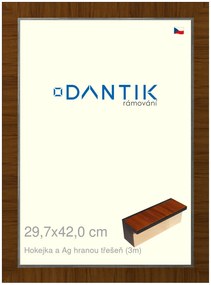 DANTIK rám na obraz 29,7x42 | Hokejka a Ag hranou třešeň (Plexi Čiré)