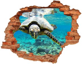 Diera 3D v stene na stenu Morská korytnačka nd-c-83762438