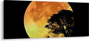 Obraz tieňov v mesačnom svetle (120x50 cm)