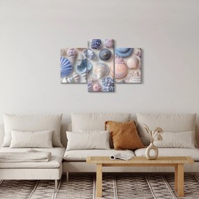 Obraz - Zbierka mušlí (90x60 cm)
