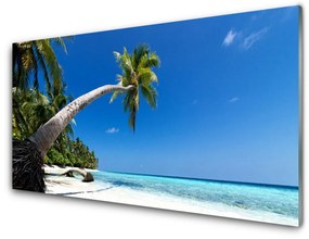 Obraz plexi Pláž palma more krajina 120x60 cm