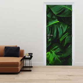 Fototapeta na dvere - Listy Monstery (95x205cm)