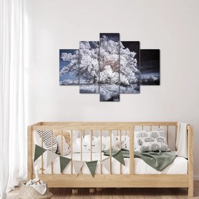 Obraz - Snehobiely strom (150x105 cm)