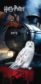 Jerry Fabrics Bavlnená froté osuška 70x140 cm - Harry Poter "Hedwig"