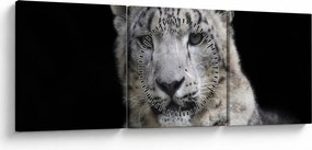 Obraz - Leopard snežný (s hodinami) (90x30 cm)