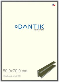 DANTIK rám na obraz 50x70 | ALU Platina matná (Plexi Čiré)