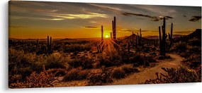 Obraz - Koniec dňa v arizonskej púšti (120x50 cm)