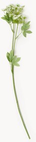 Kvetinová dekorácia Fenchel