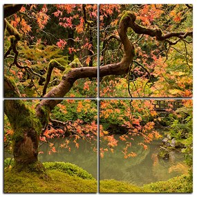 Obraz na plátne - Červený javor jeseň - štvorec 3241E (100x100 cm)