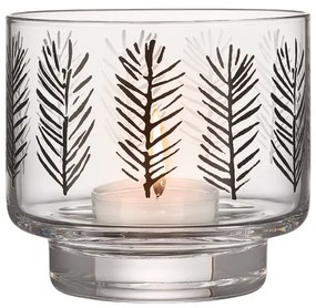 Svietnik Spruce