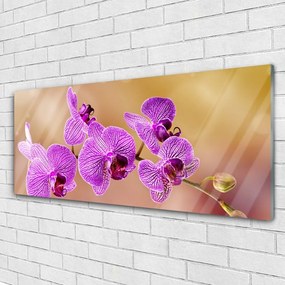 Obraz plexi Orchidea výhonky kvety príroda 125x50 cm