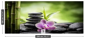 Fototapeta Vliesová Orchidea zen 152x104 cm