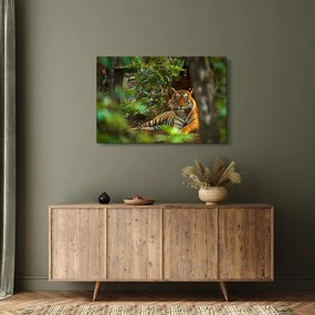 Obraz odpočívajúceho tigra (90x60 cm)