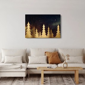 Obraz - Zlatá noc (90x60 cm)