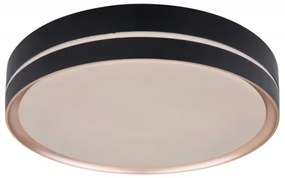 Globo 41759-24 - LED Stmievateľné stropné svietidlo MANNI LED/24W/230V + DO