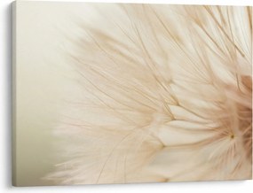 Obraz - Detaily kvetu (70x50 cm)